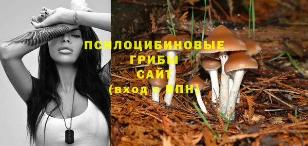 амф Абинск