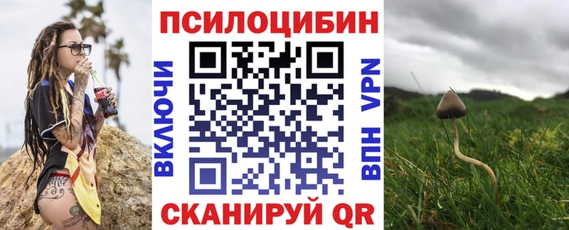 Галлюциногенные грибы мухоморы где продают наркотики Железногорск-Илимский