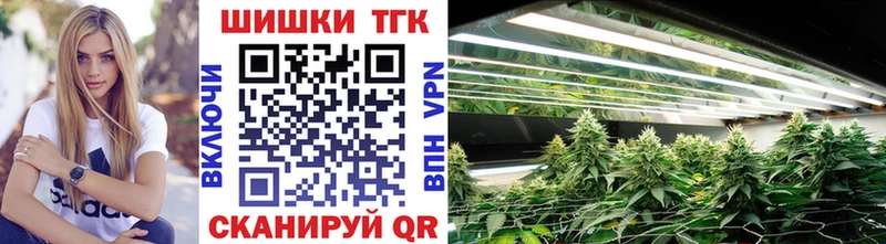 где продают наркотики  Железногорск-Илимский  Каннабис Amnesia 